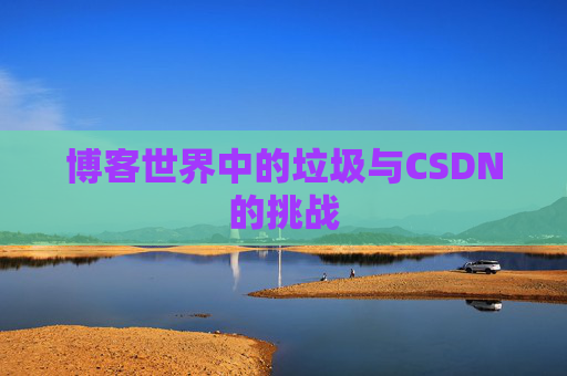 博客世界中的垃圾与CSDN的挑战